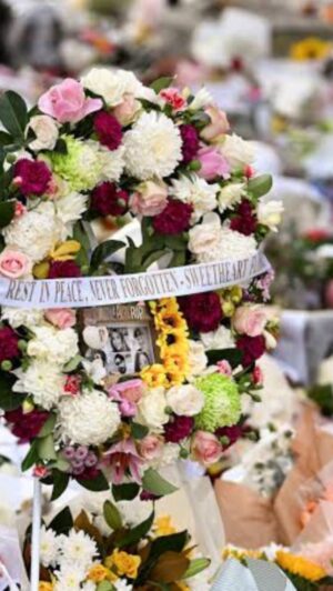 Narelda Jacobs Instagram - Leslie Stillman’s husband reportedly left a murder/suicide note saying “Won’t get justice. Will die with her.”

Attorney-General @markdreyfusmp today said men need to step up to stop the scourge of violence against women.

I spoke with Prof. Kate Fitz-Gibbon @kate_fitzyoung

@1800respect_australia @lifelineaustralia