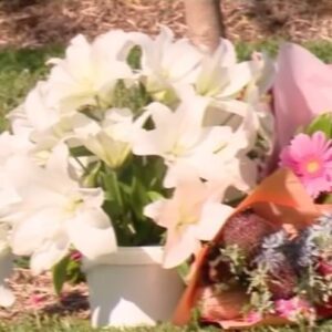 Narelda Jacobs Instagram - We’re continuously told, the most dangerous time for a victim/survivor is the moment they leave. 

FDV advocate, Alison Scott, told me when a woman in Perth called police for assistance to remove belongings from her family home, it should’ve automatically triggered a family and domestic violence response.
