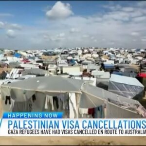 Narelda Jacobs Instagram - Foreign Minister @senatorpennywong has announced the restoration of funding to the UN aid agency in Gaza, UNWRA. 

Minutes before her announcement I spoke with Sarah Dale from @racsaustralia about another issue facing Palestinians fleeing the humanitarian crisis in Gaza, the cancellation of their visas by the Australian Government.