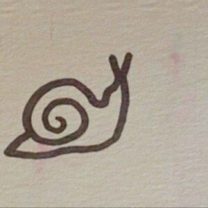 Nat Kitcharit Instagram - been collecting snails from some friends of late..