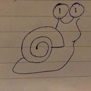 Nat Kitcharit Instagram - been collecting snails from some friends of late..