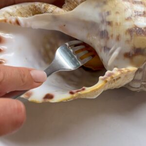 Natalia Khod Instagram - 🐚 🇵🇹 
Lo que más me hace disfrutar de este país son sus mercados, el mejor pescado fresco y marisco que he visto en mi vida! 🦀🐟🦐
Ayer estuve en la lonja de Matosinhos y encontré un caracol gigante 🐚! No sabía como cocinarlo, pero me habéis dado muchas ideas , gracias 🙏🏻 😉😘
El plato ha quedado riquísimo, y la concha me la llevo de recuerdo a Madrid ☺️
•
•
•

#shellfish #caracol #portugal #oporto #bizzarefoods #seafood #market #chefstalk #foodporn #vivalavidaloca #ceviche #chefslife 
#lunch