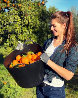 Natalia Khod Instagram - Unas cuantas toneladas de la mejor naranja 🍊 para HAMBRECERO.ES 
@hambrecero.es 

Lo recogimos en muy poco tiempo con este equipo tan salao 🧂👏💪 💃🏻 
@squareventures @alvarocuadrado @tatianaruizz @danielmchef4 @euruiz_ @javier.extremera 

#ong #sevilla #naranja #hambrecero 
#andalucia #spain #orange #flamenco #friends #naturaleza #campo #granja #arbol #rockandroll