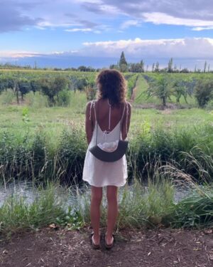 Natalia Lobo Instagram - Hay viajes que nos cambian el punto ....que son inesperados 
Saltos cuanticos que nos colocan en una nueva realidad mas colorida ....lugares magicos que vuelan por el aire habitando la mas maravillosa multidimensionalidad ....nuevos amigos que se sienten eternos ....abrazos , risas , musica , baile , canciones ,naturaleza ,  laberintos magicos cargados de historia
Hay lugares que nos paran la mente y nos anclan solo en el presente .... hay casas que curan ,  donde el tiempo no es lineal y todo se eleva en espiral 
Se requiere entrega para decirle que si a lo desconocido .... pero vale la pena arriesgarse 

Gracias , gracias , gracias....
 solo les digo gracias a todos , a todo  y  a cada uno 
 gracias 🤍

Fueron los tres dias mas hermosos y alegres  de los ultimos tiempos 💫

#fincalosalamos @laberintodeborgesok