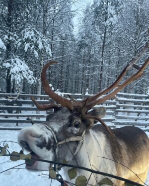 Natalia Rodríguez Instagram - -20 en Lapland