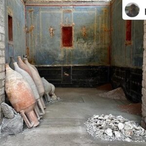 Natalie Haynes Instagram - Today we are blue, for the newly discovered blue room in Pompeii 💙🩵📘🖌️ Isn’t it incredible?
Photos from friend of the show Dr Sophie Hay! 

Posted @withregram • @pompei79 Blue is the new black (room) in #Pompeii 

An extraordinary discovery of a sacred room in Region IX decorated in a rare blue colour (Egyptian Blue). The red painted niches would be used in religious worship and offerings. And wonderfully, despite the rooms magnificence, it was part of the Roman building works at the time of the eruption and contains upturned empty amphorae and building materials in discrete piles on the floor including mortar, cocciopesto and oyster shells. 
Huge compliments and thanks to all the archaeologists, in particular Gennaro Iovino, and conservators for their diligent work and, as ever, for always warmly welcoming me to come and document the progress of their work @pompeii_parco_archeologico