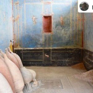 Natalie Haynes Instagram - Today we are blue, for the newly discovered blue room in Pompeii 💙🩵📘🖌️ Isn’t it incredible?
Photos from friend of the show Dr Sophie Hay! 

Posted @withregram • @pompei79 Blue is the new black (room) in #Pompeii 

An extraordinary discovery of a sacred room in Region IX decorated in a rare blue colour (Egyptian Blue). The red painted niches would be used in religious worship and offerings. And wonderfully, despite the rooms magnificence, it was part of the Roman building works at the time of the eruption and contains upturned empty amphorae and building materials in discrete piles on the floor including mortar, cocciopesto and oyster shells. 
Huge compliments and thanks to all the archaeologists, in particular Gennaro Iovino, and conservators for their diligent work and, as ever, for always warmly welcoming me to come and document the progress of their work @pompeii_parco_archeologico