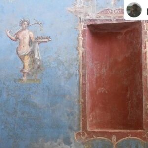 Natalie Haynes Instagram - Today we are blue, for the newly discovered blue room in Pompeii 💙🩵📘🖌️ Isn’t it incredible?
Photos from friend of the show Dr Sophie Hay! 

Posted @withregram • @pompei79 Blue is the new black (room) in #Pompeii 

An extraordinary discovery of a sacred room in Region IX decorated in a rare blue colour (Egyptian Blue). The red painted niches would be used in religious worship and offerings. And wonderfully, despite the rooms magnificence, it was part of the Roman building works at the time of the eruption and contains upturned empty amphorae and building materials in discrete piles on the floor including mortar, cocciopesto and oyster shells. 
Huge compliments and thanks to all the archaeologists, in particular Gennaro Iovino, and conservators for their diligent work and, as ever, for always warmly welcoming me to come and document the progress of their work @pompeii_parco_archeologico