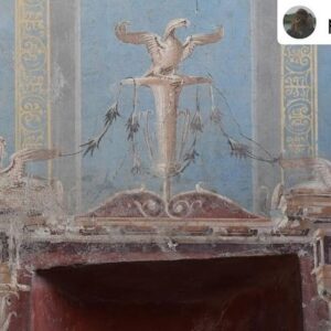 Natalie Haynes Instagram - Today we are blue, for the newly discovered blue room in Pompeii 💙🩵📘🖌️ Isn’t it incredible?
Photos from friend of the show Dr Sophie Hay! 

Posted @withregram • @pompei79 Blue is the new black (room) in #Pompeii 

An extraordinary discovery of a sacred room in Region IX decorated in a rare blue colour (Egyptian Blue). The red painted niches would be used in religious worship and offerings. And wonderfully, despite the rooms magnificence, it was part of the Roman building works at the time of the eruption and contains upturned empty amphorae and building materials in discrete piles on the floor including mortar, cocciopesto and oyster shells. 
Huge compliments and thanks to all the archaeologists, in particular Gennaro Iovino, and conservators for their diligent work and, as ever, for always warmly welcoming me to come and document the progress of their work @pompeii_parco_archeologico