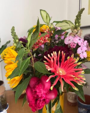 Natalie Haynes Instagram - Thank you to Caroline for the gorgeous flowers, and to Janet for the beautiful orchid! I don’t think I have ever left the radio theatre looking so glamorous. My mum has told me how to keep the orchid alive (don’t overwater it, is the main thing, although knocking it over is also bad)