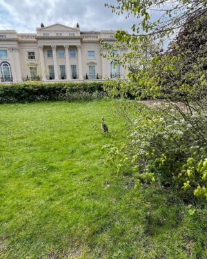 Natalie Haynes Instagram - Clytemnestra waits outside the palace to greet Agamemnon on his return from Troy #HeronAeschylus