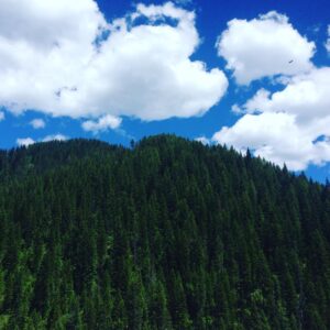 Natalie Jongjaroenlarp Instagram - Where the trees meet the sky...#mountainbikingtrails #perfectday #mothernaturesgifts