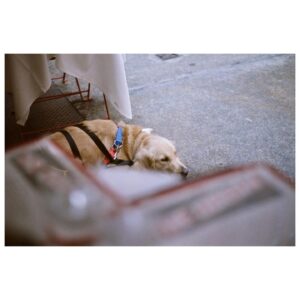 Natalie McQueen Instagram - happy things ❤️ #nikonf3