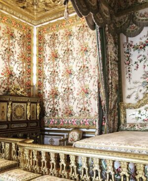 Natalie Mendoza Instagram - J’adore! #Versailles 
Sometimes more is ... well more. 
Incredible to see the influence on interior design this home has continued to have on modern design all around the world. 
#Therealthing. 
Beauty is beauty. 💖🇫🇷🥰 #marieantoinette #auntiesmaison #Kingdoms #France #Matisse #walkies 🇫🇷🐕‍🦺👑