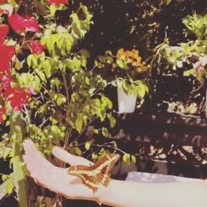 Natalie Mendoza Instagram - Good morning Father God and Holy Mother of all Creation. Mother is just waiting to come and bless us with her sweet winged kisses. Often when sweeping the leaves in my tiny garden I get these breathtaking visits from little birds to the most beautiful butterflies and dragonflies and I go into a kind of delightful trance and these sweet songs suddenly burst from my heart and upon my lips. I often don’t even know what they even are… they aren’t mine, they belong to Mother and they are here for her small sentient creatures to play in. To be blessed and to bless without any personal interference is that dance of ecstasy in which the universe continues to birth itself through Spirit. It’s always available in the present moment if we simply stop and offer ourselves to it. #ToLoveGodWithAllOurHeartIsSuchAnHonor  #SeeGodInAll #LoveServiceDevotion #God’sCreatures #DifferentDayDifferentButterfly #Papillon 🦋🤍🙏🏽