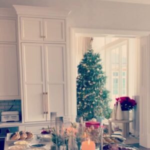 Natalie Mendoza Instagram - God be the Glory for the many blessings that have pulled our sweet family together this Christmas. By the Grace of God his perfect son was birthed into this world to guide us home to peace and unity. When we are lost, we need only look to his eternal mercy and be healed. Thank you Divine Mother Mary for being my guiding star.
With a heart full with of love and gratitude.
Giving thanks to His love, my magical Mendoza family, my sweet mama Angel … my extended family Beganovic, Kelley’s, and @mleigh2012 JF @calvindutton and of course Matisse 
I adore you all 🎄🤍🙏🏽