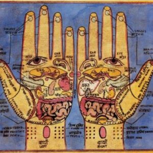 Natasha Slayton Instagram - The human body is so magical, and we are so much more connected and powerful than we tend to acknowledge or realize. 🙏🌞🦋🌜🪷💫 We hold the map to our ailments and the keys to our healing.