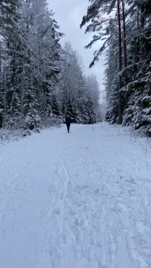Nathalie Varli Instagram - ❄️❄️