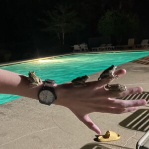 Nathan Blair Instagram - The greatest thing about Georgia is the wild life you can find at every corner. Just at the pool and these guys were all over the place. #adventure #dream #achieve #frog