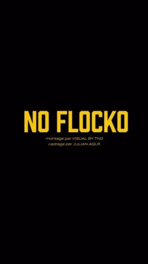 Nathan Munda Instagram - NO FLOCKO X NATHAN UPDC - « No Flocko » sur YouTube.

1 an jour pour jour c’était le départ du projet « No flocko », pour cette occasion spéciale il fallait un morceau spécial .. on vous emmène en immersion avec nous de la séance à l’évènement.. demain c’est les un an, 4.05 à Bern, pour une soirée masqué , bientôt sold out, ne loupez pas l’anniversaire de « no flocko » 🍾🥂. 
Le titre est disponible sur YouTube..