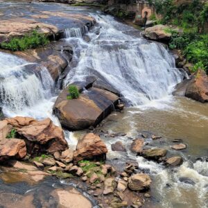 Nathan Parsons Instagram - @cityofgreenvillesc is so beautiful. Definitely worth walking around Falls Park if you're in the area