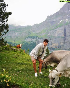 Nathas Tunjaroen Instagram - Moo 🐮🐄🇨🇭