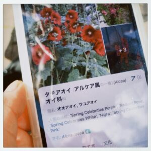Natsuko Instagram - .
🌺