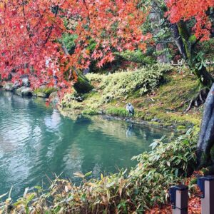 Nayu Matsubara Instagram - 先日行った金沢旅行🍂兼六園

蟹が大好きだから、この時は蟹をたったの2日で6匹も食べました🦀

今回の能登半島の震災の被害がどんどん明らかになって
とても心配です
年始からとんでも無いことになりました。

徐々に被害が明らかになって、未だに連絡が取れない方がいるとのことで心配です

能登に知り合いがいて、家が浸水してしまい車中泊をしていたそうです
今は街全体が支援物資が届くことでなんとか生活できる状態とか

皆さんの1日も早くの復興を祈ります。

#金沢　#能登半島　#noto #notopeninsula #kanazawa #金沢旅行 #能登半島地震 #復興を願う　#prayfornoto