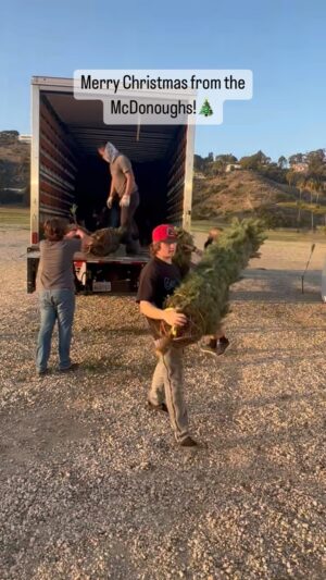 Neal McDonough Instagram - Who’s ready for CHRISTMAS?!!🎄 #christmas #christmastree #christmastreefarm #nealmcdonough #familytime