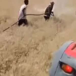Nebil Özgentürk Instagram - MARDİN VE DİYARBAKIR YANGINLARI... 😢😢

EN ALÇAĞINDAN, EN FAŞİSTİNDEN, EN KARANLIĞINDAN VE EN IRKÇISINDAN BAKANLAR VAR BU YANGIN YERİNE. 

YANARAK YAŞAMINI KAYBEDENLER İÇİN "OH OLSUN" DİYEN ANLAYIŞA DA, ALKIŞLAYANA DA YUHHH.. 

LANET OLSUN SİZE.. 

YANGIN VE YİTİP GİDEN CANLAR..

Dİyarbakır ve Mardin'de çıkan yangınlarda yaşamını kaybeden canlarımızın yakınlarına başsağlığı diliyorum.. 

Acımız büyük, ruhlarımız yangın yeri..