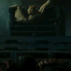 Neil Gaiman Instagram - Meet the Cat King (Lukas Gage) in two weeks, on Dead Boy Detectives. April 25th.