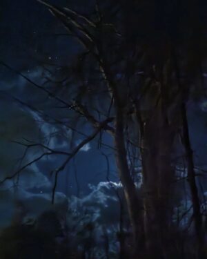 Neil Gaiman Instagram - From a late night dogwalk...