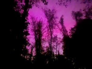 Neil Gaiman Instagram - You don't expect to see the skies empurpled and shifting over Woodstock NY in the summer.  Thank you Solar Flare.