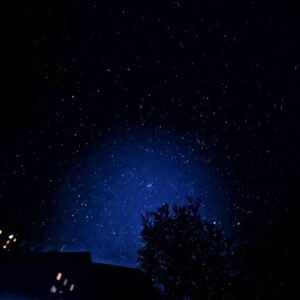 Neil Gaiman Instagram - Late at night, walking the dog. (The white light bottom left is his collar light.) So many stars.