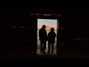 Neil Young Instagram - Neil & Nils 

BARN