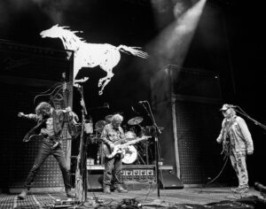 Neil Young Instagram - Forest Hills
Crazy Horse 
Blew out the power
solar storm 
🎶🖤 

Photo @dannybones64