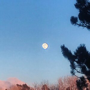 Neil Young Instagram - Happy Solstice
Here’s to the return of the light.