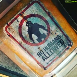 Neill Blomkamp Instagram - Rather awesome birthday cake from the amazing people @futuregatefestival in Prague!!