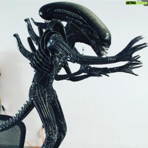 Neill Blomkamp Instagram - Amazing sculpt by amalgamated dynamics @alec_gillis @tom_woodruffjr  of the xeno. I’m not working on this - it’s just in the office and I love it