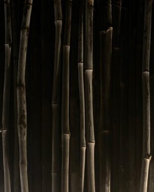 Nelson Dilipkumar Instagram - Warm lights and bamboo fence #albu #midnightphotography #bamboo #lines #pattern