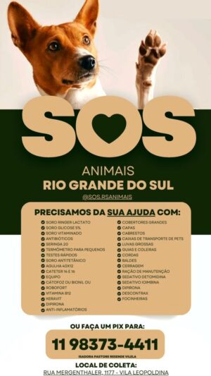 Nelson Piquet Jr. Instagram - Vamos juntos em mais um projeto especial! 

Agora juntos com a @sos.rsanimais , estamos arrecadando doações para os animais que sofreram com as enchentes no RS.

A lista de tudo o que é mais necessário no momento está disponível nos destaques do @sos.rsanimais 

Vocês podem ajudar via PIX também 

Pix - 11 98373-4411 ( Isadora Pastore Resende Vilela) 

Ps: qualquer ajuda é ajuda, seja doação física, pix ou compartilhando!!! Obrigadooo 

#sosrs #sosriograndedosul