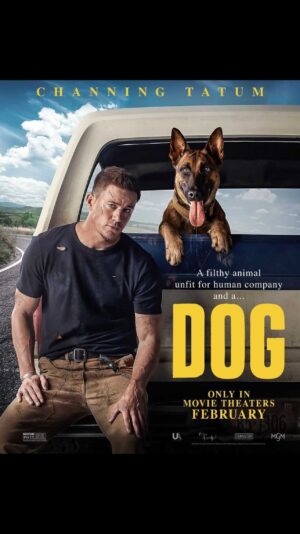Neraida Bega Instagram - Boom💥 Trailer is out! @dogthefilm coming this February only in theaters!!! 
I had the BEST time working on this movie….🐕💛Thank you @channingtatum @reid_carolin @sdcstunts for having me.
.
#Repost from @channingtatum 
•
This process of making @dogthefilm has been one of the craziest journeys of my life! Also, if you would enjoy watching me get bit by a dog, this will be a very fulfilling and funny movie for you.