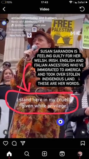 Neta Riskin Instagram - #all_lives_matter @susansarandon
