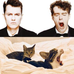 Neta Riskin Instagram - פרויקט חשוב שאני עובדת עליו

#petshopboys #eurythmics #tearsforfears
