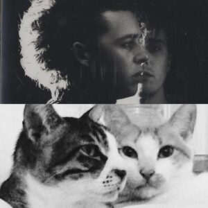 Neta Riskin Instagram - פרויקט חשוב שאני עובדת עליו

#petshopboys #eurythmics #tearsforfears