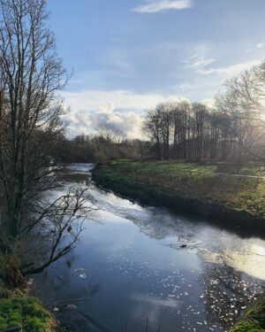 Niamh Walsh Instagram - Burrell Collection
