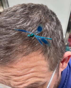 Nick Frost Instagram - I don’t know how it works but I’m assured Dragon Fly therapy is all the rage. And it seems to work! I feel great.