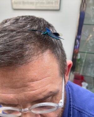 Nick Frost Instagram - I don’t know how it works but I’m assured Dragon Fly therapy is all the rage. And it seems to work! I feel great.
