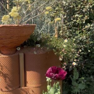 Nick Grimshaw Instagram - Feeling very lucky that me and Our Jane got to spend the day at the Chelsea Flower Show. Just the most magical display of design, getting to meet the gardeners and designers who created these labours of love and hear about the workload that has gone into these works of art has inspired me….to employ a gardener.