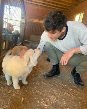Nick Hargrove Instagram - End every slideshow with a goat